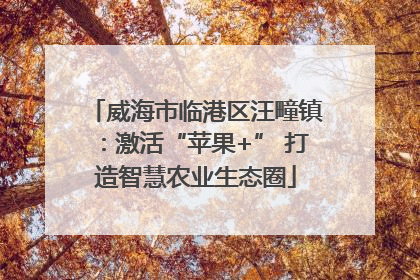 威海市临港区汪疃镇：激活“苹果+” 打造智慧农业生态圈