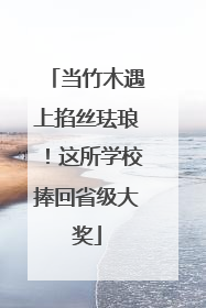当竹木遇上掐丝珐琅！这所学校捧回省级大奖