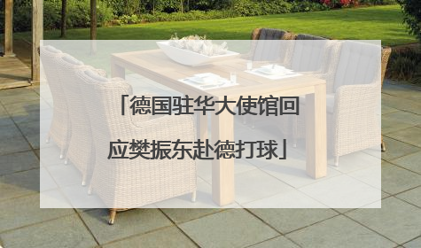 德国驻华大使馆回应樊振东赴德打球