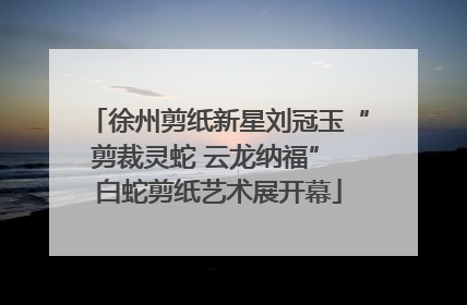 徐州剪纸新星刘冠玉“剪裁灵蛇 云龙纳福” 白蛇剪纸艺术展开幕