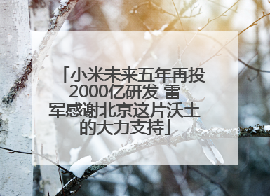 小米未来五年再投2000亿研发 雷军感谢北京这片沃土的大力支持