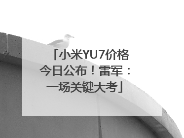 小米YU7价格今日公布！雷军：一场关键大考