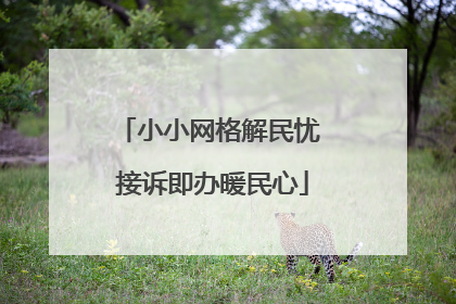小小网格解民忧 接诉即办暖民心