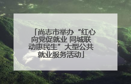 尚志市举办“红心向党促就业 同城联动惠民生”大型公共就业服务活动