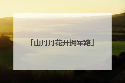 山丹丹花开拥军路