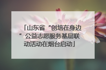山东省“创培在身边”公益志愿服务基层联动活动在烟台启动