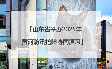 山东省举办2025年黄河防汛抢险协同演习