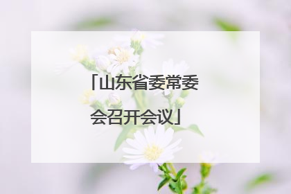 山东省委常委会召开会议