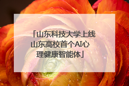 山东科技大学上线山东高校首个AI心理健康智能体