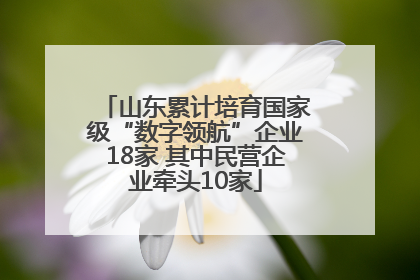 山东累计培育国家级“数字领航”企业18家 其中民营企业牵头10家