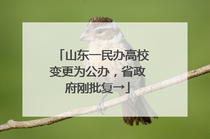 山东一民办高校变更为公办，省政府刚批复→