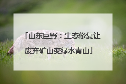 山东巨野：生态修复让废弃矿山变绿水青山