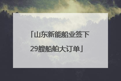 山东新能船业签下29艘船舶大订单