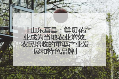 山东莒县：鲜切花产业成为当地农业增效、农民增收的重要产业发展和特色品牌