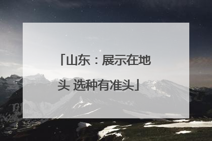 山东:展示在地头 选种有准头
