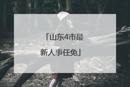 山东4市最新人事任免