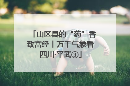 山区县的“药”香致富经丨万千气象看四川·平武③