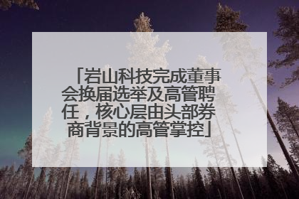 岩山科技完成董事会换届选举及高管聘任，核心层由头部券商背景的高管掌控