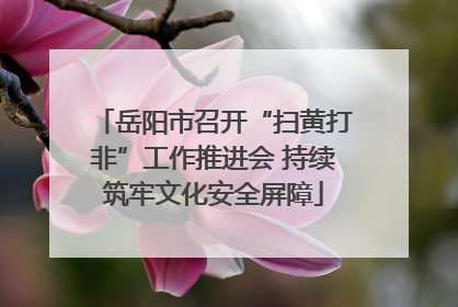 岳阳市召开“扫黄打非”工作推进会 持续筑牢文化安全屏障