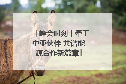峰会时刻丨牵手中亚伙伴 共谱能源合作新篇章