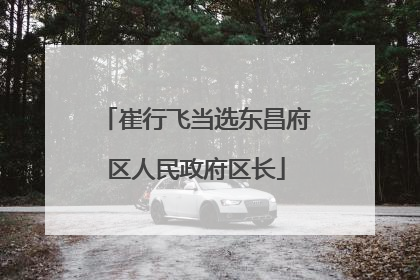 崔行飞当选东昌府区人民政府区长