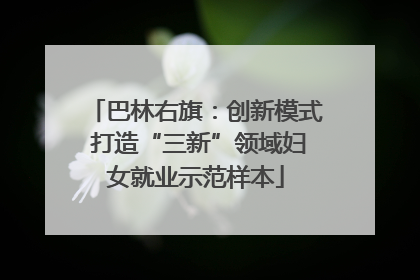 巴林右旗：创新模式 打造“三新”领域妇女就业示范样本