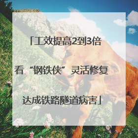 工效提高2到3倍 看“钢铁侠”灵活修复达成铁路隧道病害