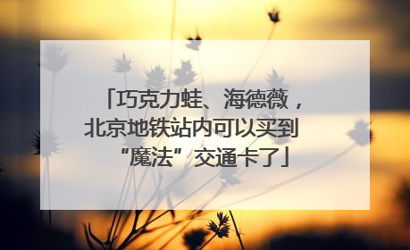 巧克力蛙、海德薇，北京地铁站内可以买到“魔法”交通卡了