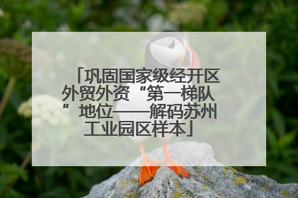 巩固国家级经开区外贸外资“第一梯队”地位——解码苏州工业园区样本