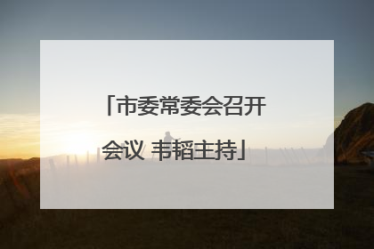 市委常委会召开会议 韦韬主持