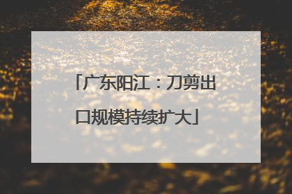 广东阳江：刀剪出口规模持续扩大