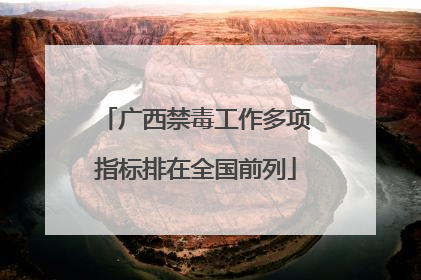 广西禁毒工作多项指标排在全国前列