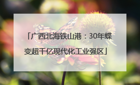 广西北海铁山港：30年蝶变超千亿现代化工业强区