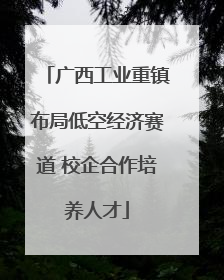广西工业重镇布局低空经济赛道 校企合作培养人才