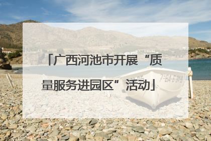 广西河池市开展“质量服务进园区”活动
