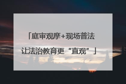 庭审观摩+现场普法 让法治教育更“直观”