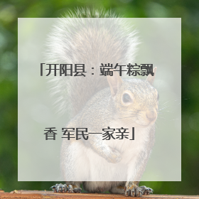 开阳县：端午粽飘香 军民一家亲
