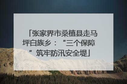 张家界市桑植县走马坪白族乡：“三个保障”筑牢防汛安全堤