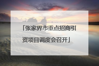 张家界市重点招商引资项目调度会召开
