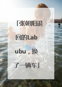 张朝阳退回的Labubu，换了一辆车