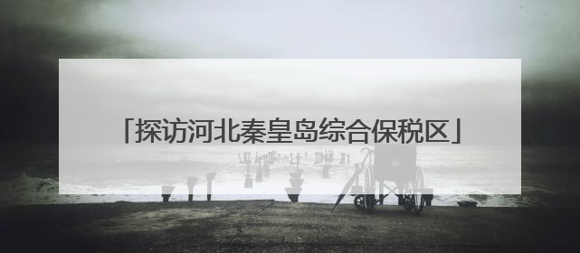 探访河北秦皇岛综合保税区
