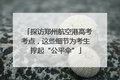 探访郑州航空港高考考点，这些细节为考生撑起“公平伞”