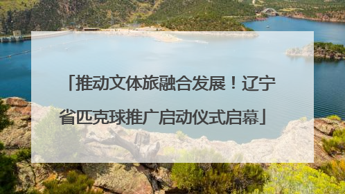 推动文体旅融合发展！辽宁省匹克球推广启动仪式启幕