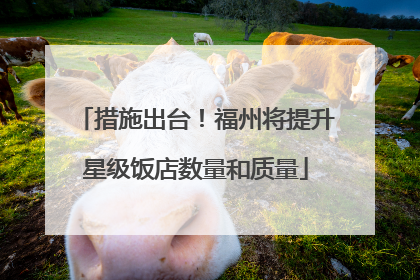 措施出台！福州将提升星级饭店数量和质量