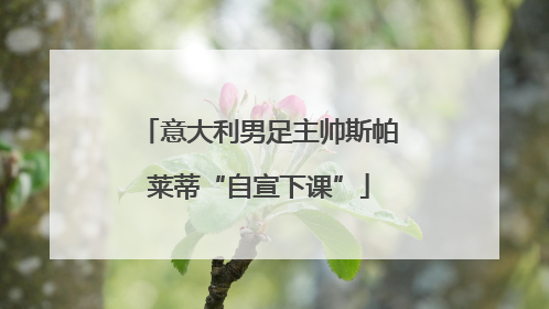 意大利男足主帅斯帕莱蒂“自宣下课”