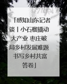 感知山东记者谈丨小石榴撬动大产业 枣庄破局乡村发展难题 书写乡村共富答卷
