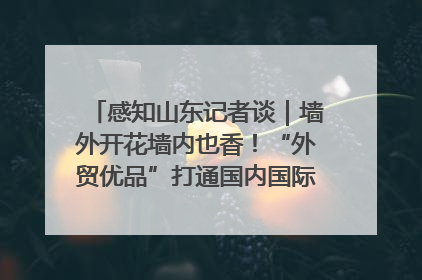 感知山东记者谈｜墙外开花墙内也香！“外贸优品”打通国内国际市场“旋转门”