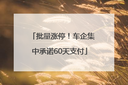 批量涨停！车企集中承诺60天支付