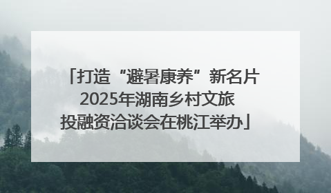 打造“避暑康养”新名片 2025年湖南乡村文旅投融资洽谈会在桃江举办
