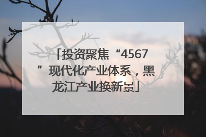 投资聚焦“4567”现代化产业体系，黑龙江产业换新景